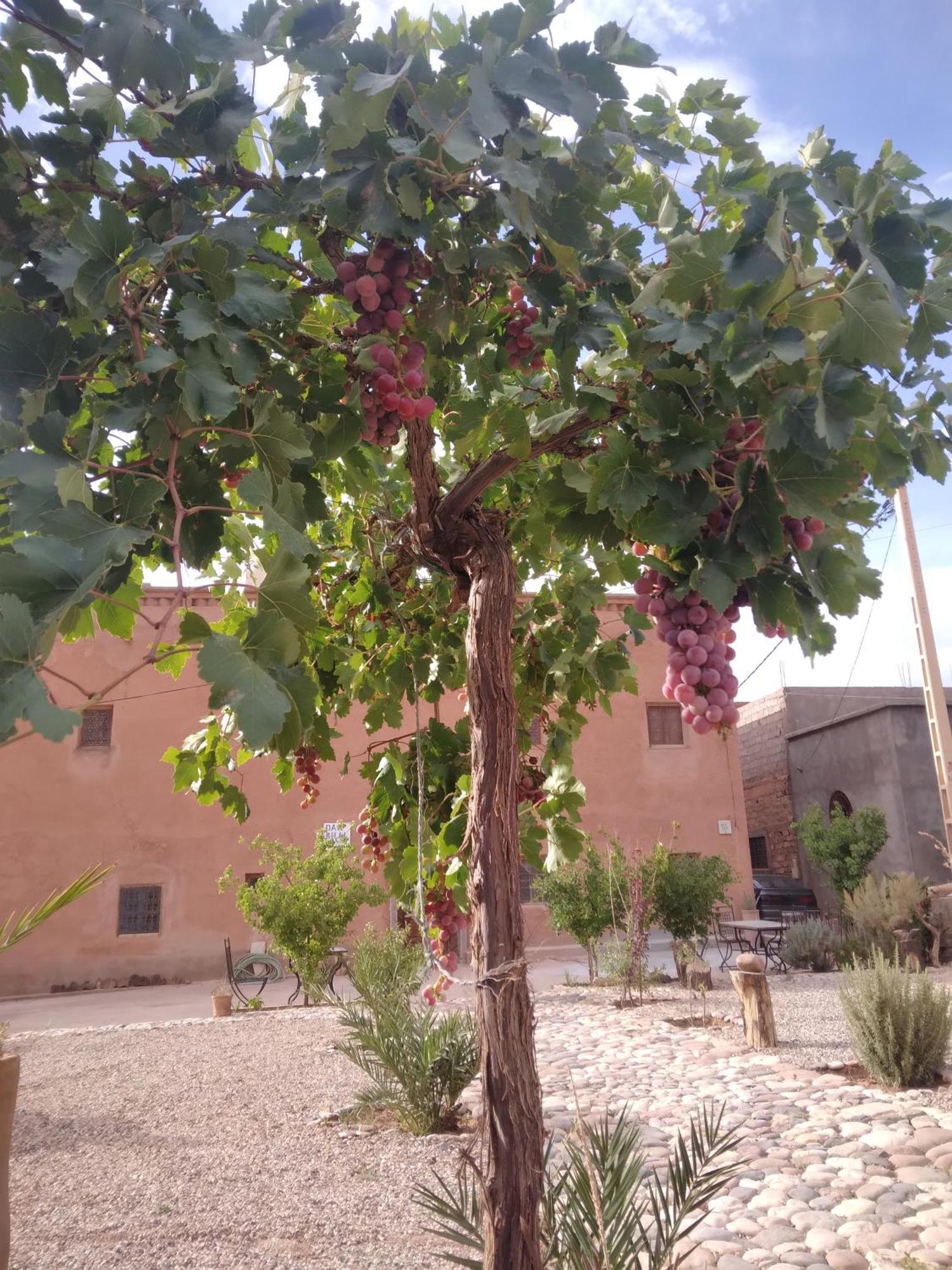 Dar Bilal Hotel Ait Benhaddou Ngoại thất bức ảnh